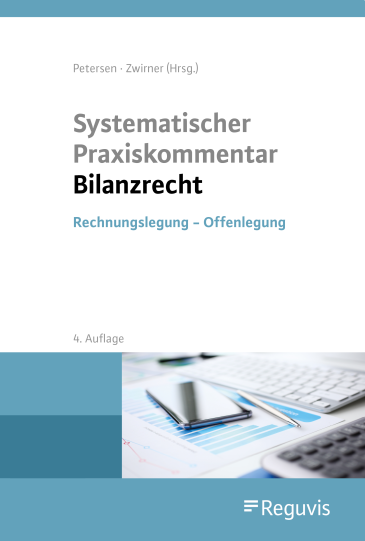  Systematischer Praxiskommentar Bilanzrecht