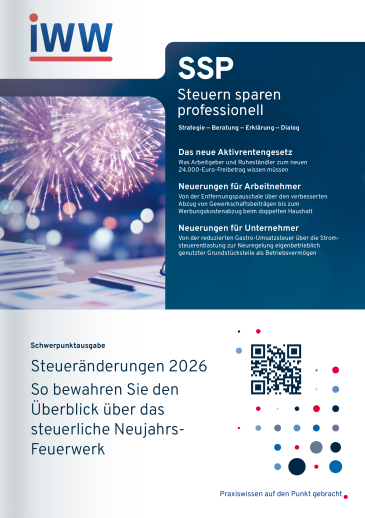  Steuern sparen professionell (SSP)